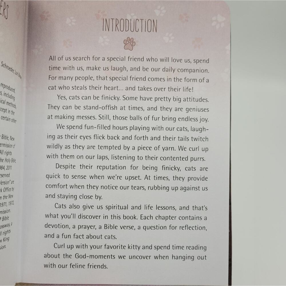 52 Devotions for Cat Lovers Book with Ribbon Bookmark - Picture 6 of 14